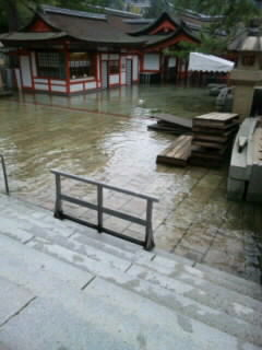 ノンフィクション